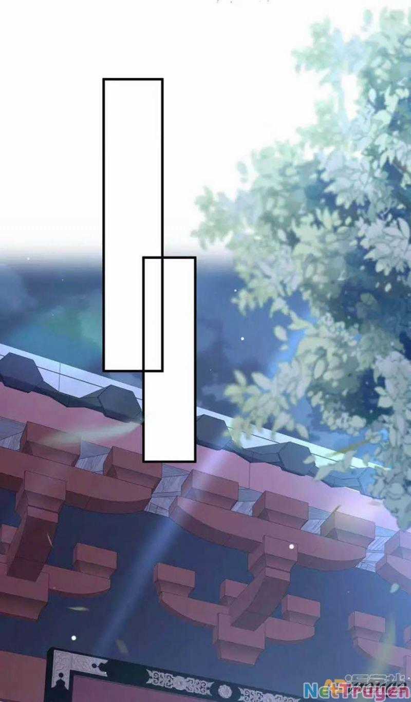 Ta Ở Hậu Cung Làm Lão Đại Chapter 101 trang 23