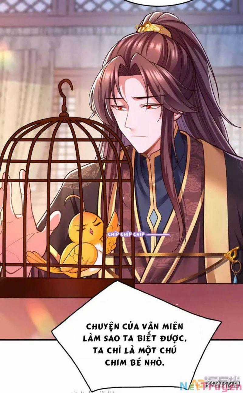 Ta Ở Hậu Cung Làm Lão Đại Chapter 101 trang 3