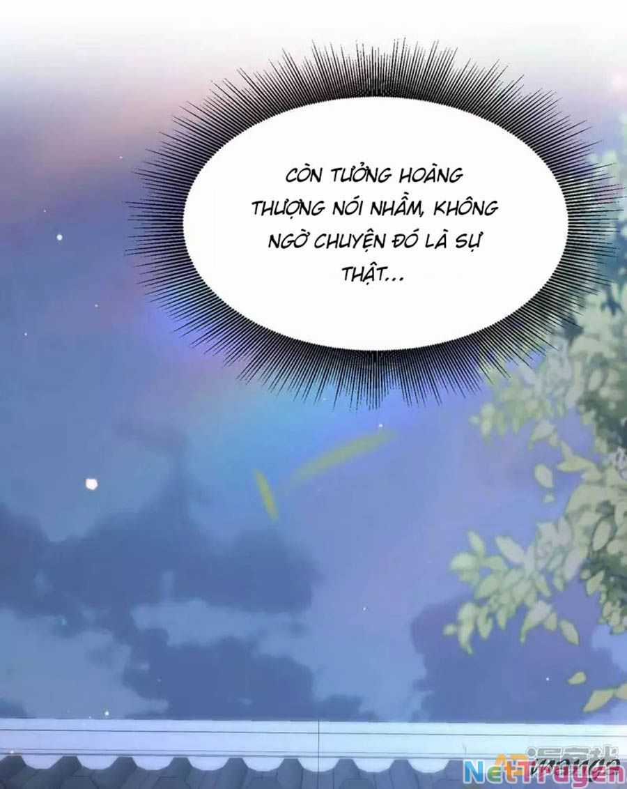 Ta Ở Hậu Cung Làm Lão Đại Chapter 102 trang 2