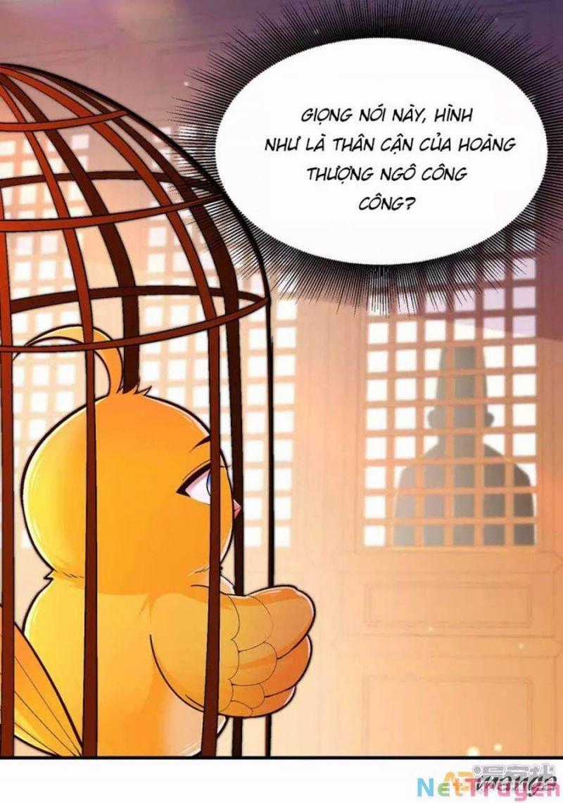 Ta Ở Hậu Cung Làm Lão Đại Chapter 103 trang 2