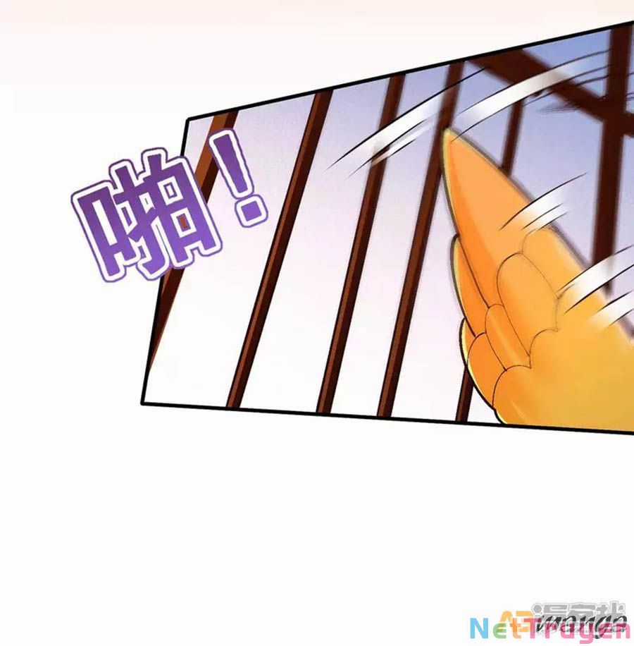 Ta Ở Hậu Cung Làm Lão Đại Chapter 104 trang 22