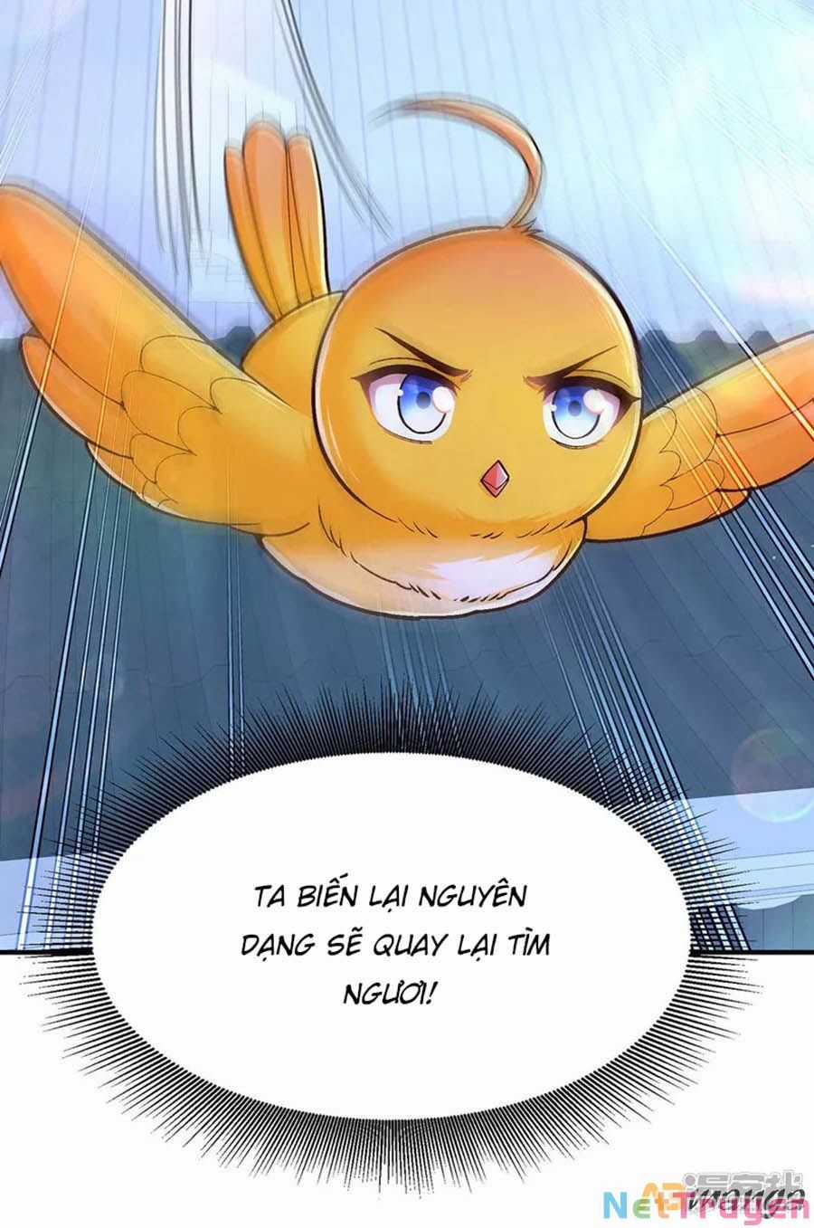 Ta Ở Hậu Cung Làm Lão Đại Chapter 104 trang 25