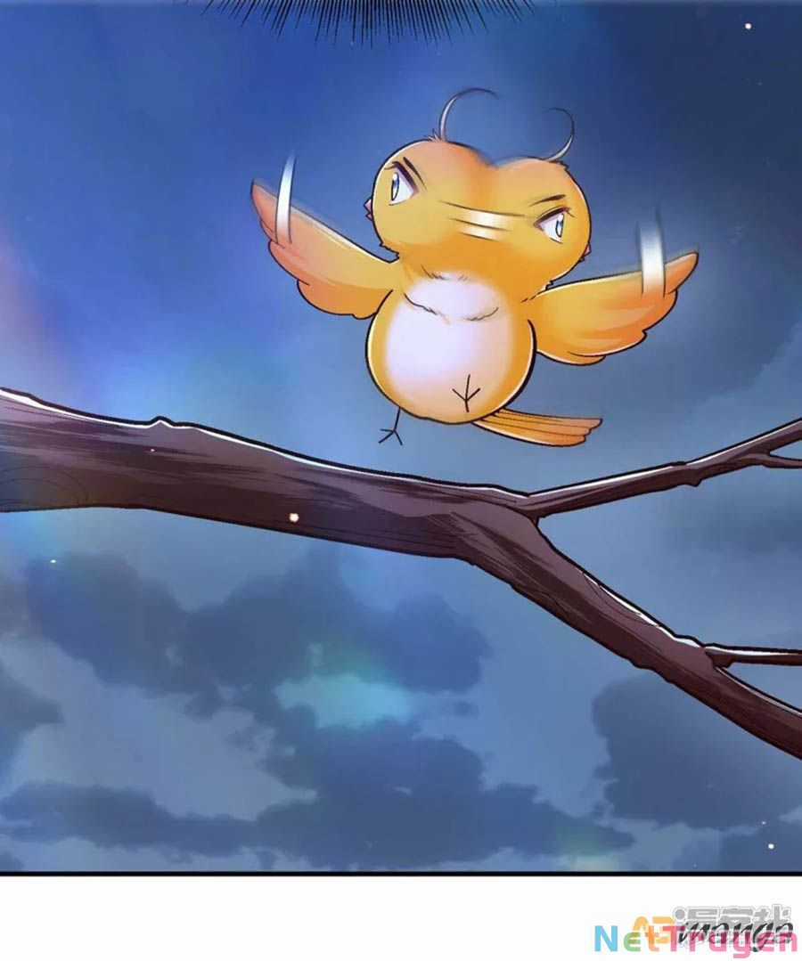 Ta Ở Hậu Cung Làm Lão Đại Chapter 104 trang 31