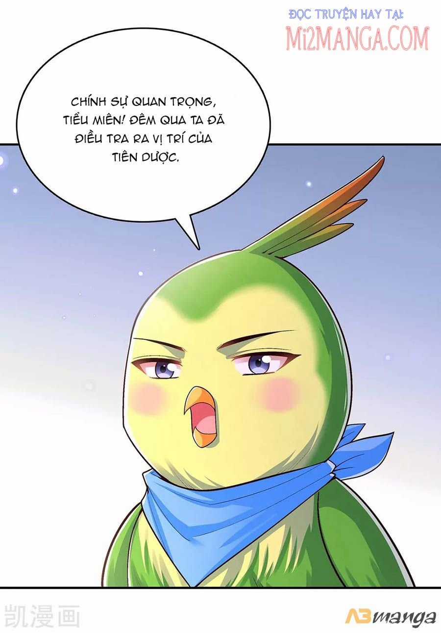 Ta Ở Hậu Cung Làm Lão Đại Chapter 114 trang 11