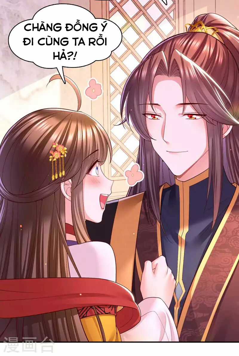 Ta Ở Hậu Cung Làm Lão Đại Chapter 117 trang 17