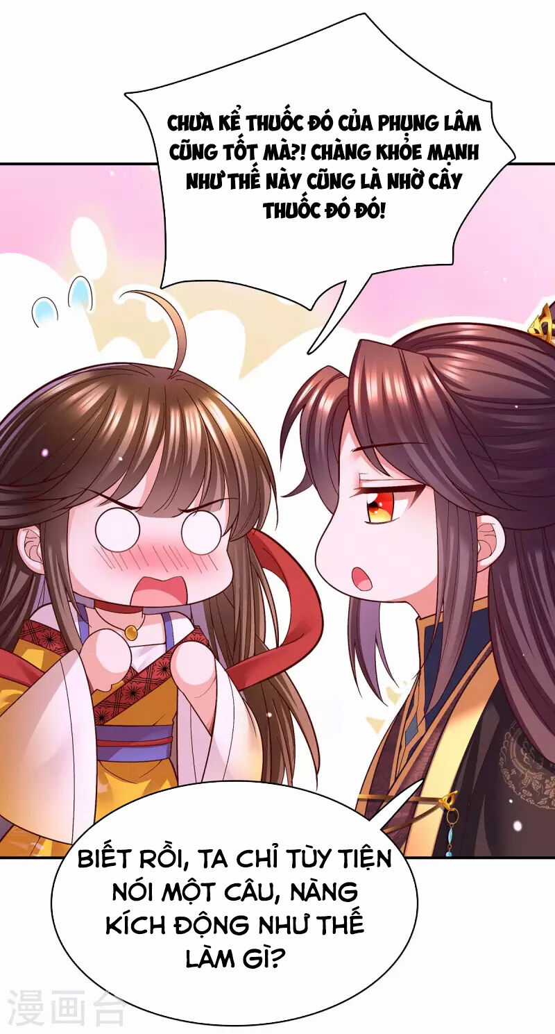 Ta Ở Hậu Cung Làm Lão Đại Chapter 117 trang 5