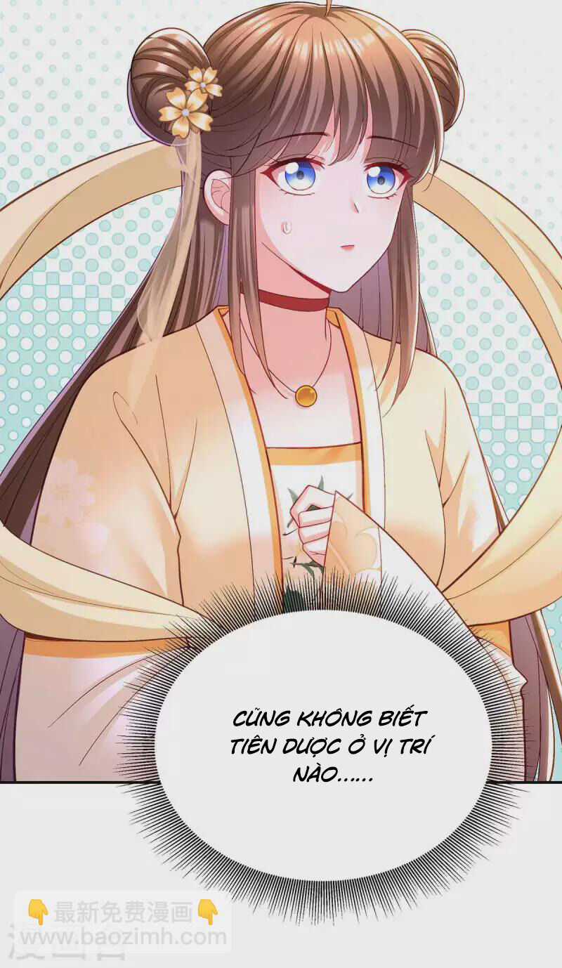 Ta Ở Hậu Cung Làm Lão Đại Chapter 123 trang 23