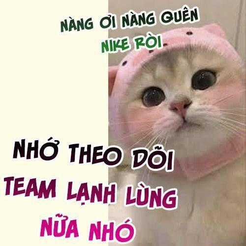 Ta Ở Hiện Đại Làm Đại Boss Chương 129 trang 23