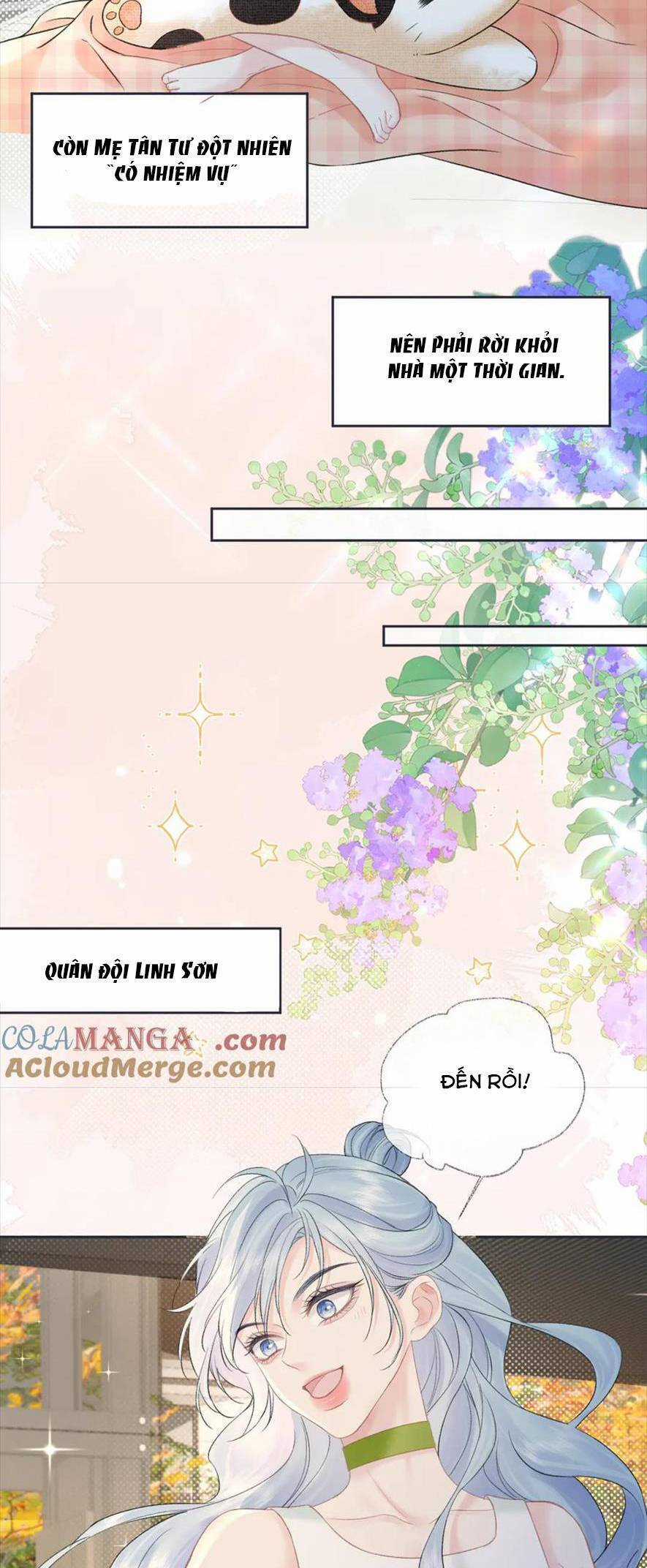 Ta Ở Hiện Đại Làm Đại Boss Chương 91 trang 2