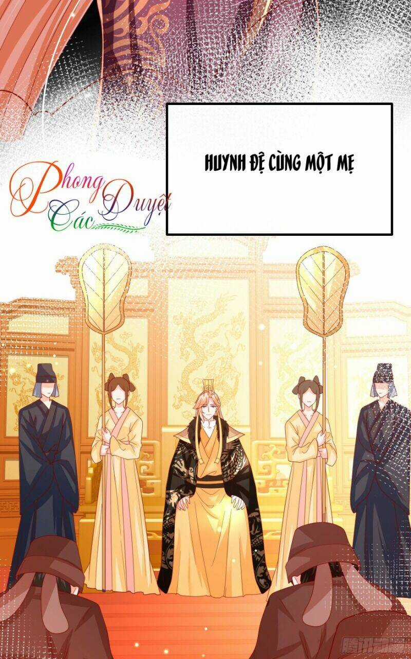 Ta Phải Làm Hoàng Hậu Chapter 20 trang 4