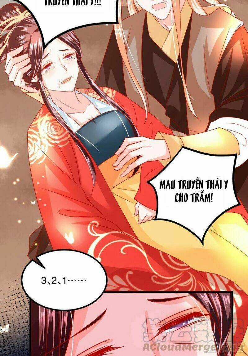Ta Phải Làm Hoàng Hậu Chapter 35 trang 35