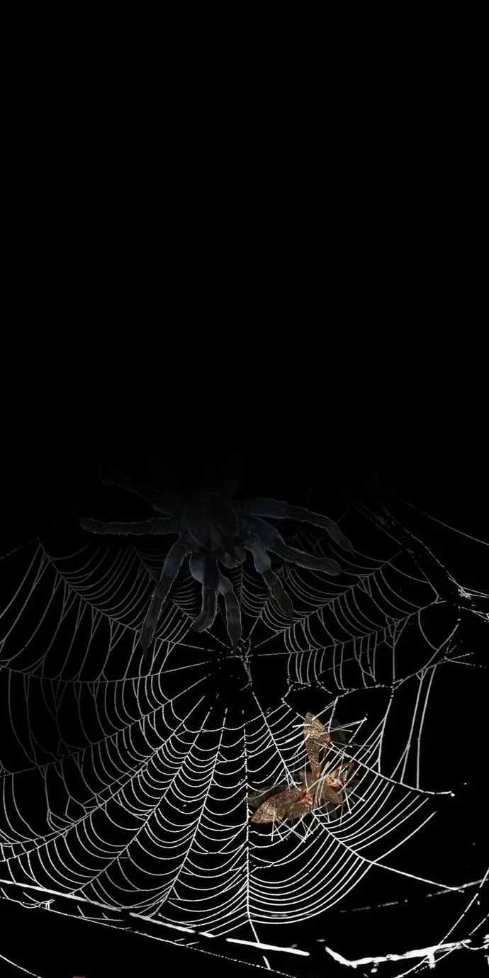 Ta Sáng Tạo Truyền Thuyết Đô Thị Quà tặng đô thị Chapter 53 trang 31