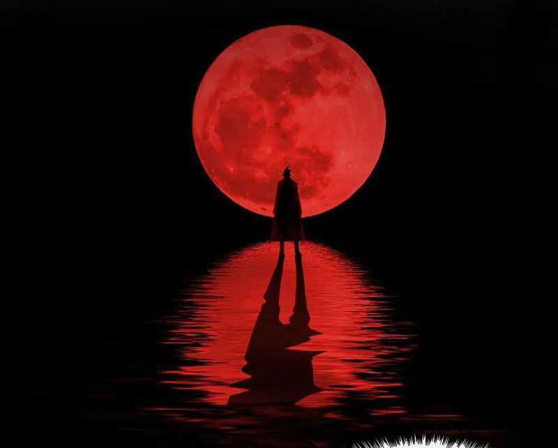 Ta Sáng Tạo Truyền Thuyết Đô Thị Quà tặng đô thị Chapter 69 trang 76