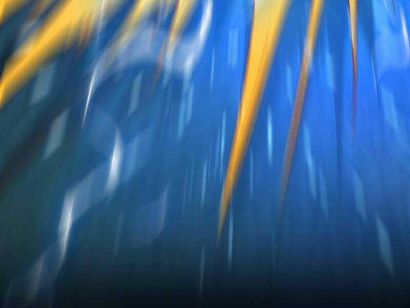 Ta , Thần Long Chi Hậu Chapter 44 trang 66