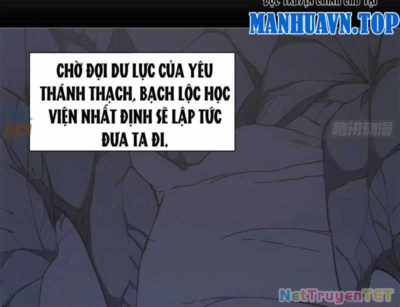 Ta Thật Sự Không Muốn Làm Thánh Tiên Chapter 100 trang 114