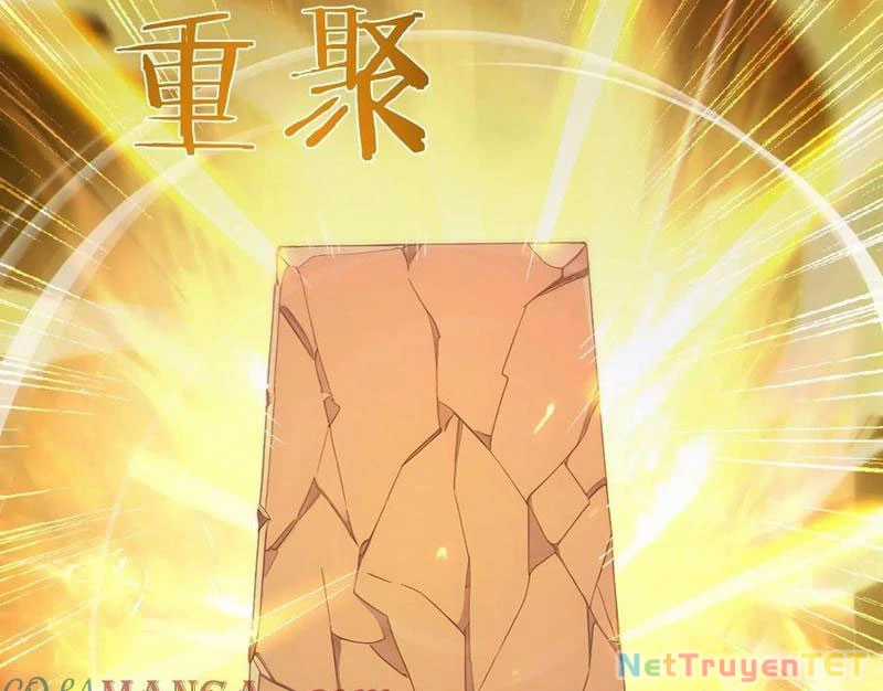 Ta Thật Sự Không Muốn Làm Thánh Tiên Chapter 100 trang 74