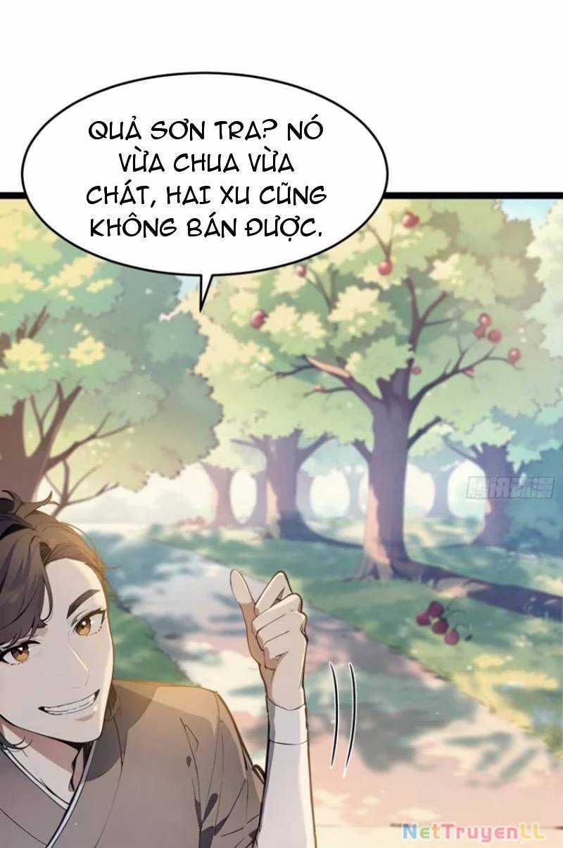 Ta Thật Sự Không Muốn Làm Thánh Tiên Chapter 4 trang 4