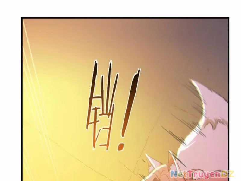 Ta Thật Sự Không Muốn Làm Thánh Tiên Chapter 83 trang 15