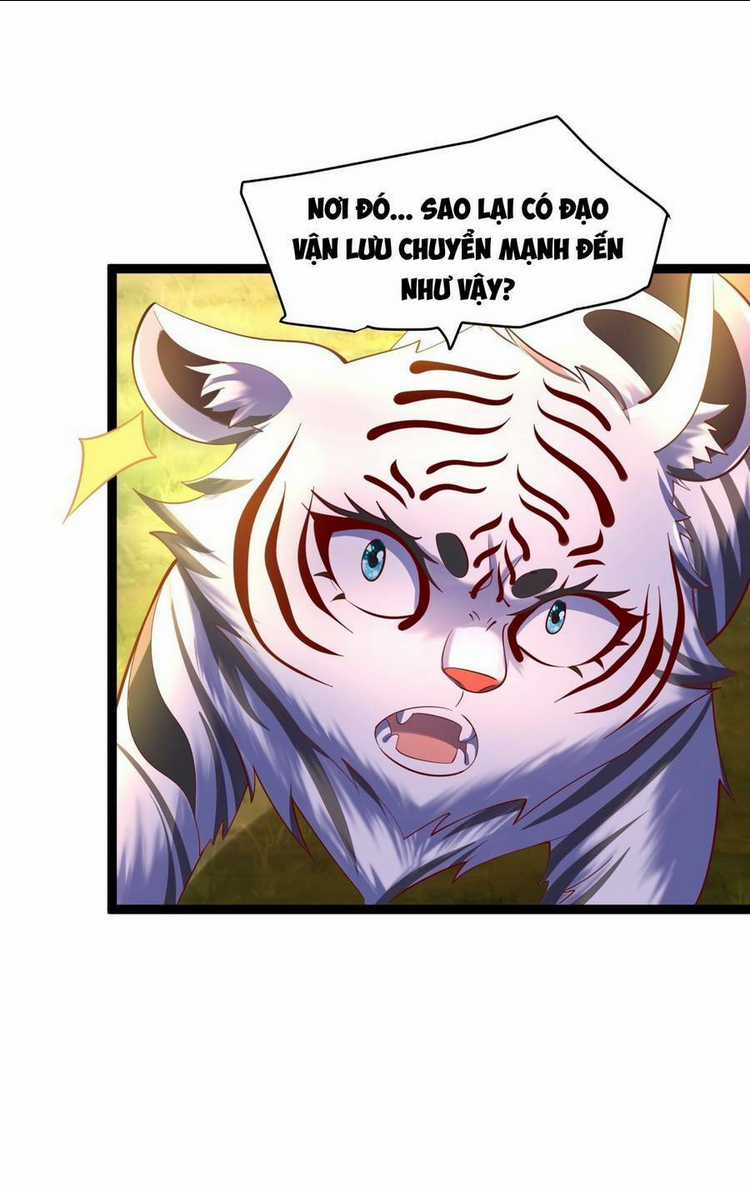 Ta Thật Sự Không Phải Là Cái Thế Cao Nhân Chapter 6 trang 35