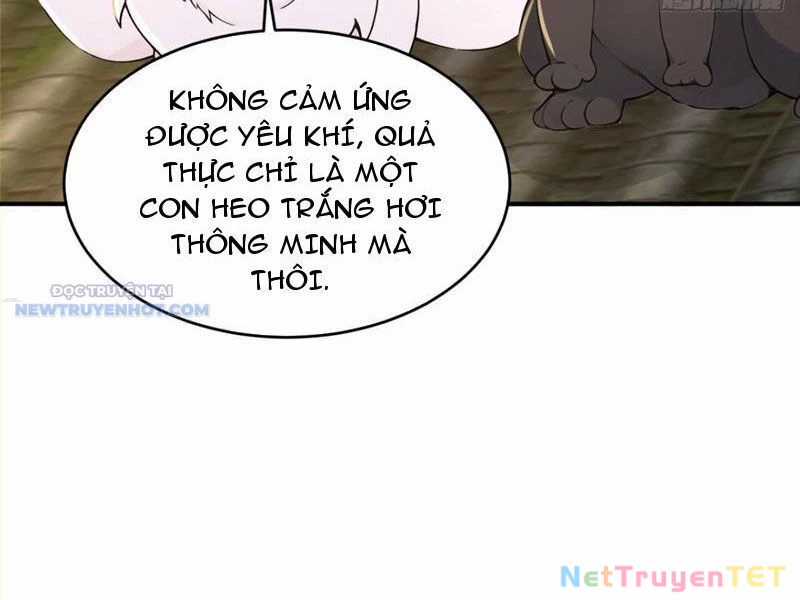 Ta Thực Sự Không Muốn Làm Thần Tiên Chapter 105 trang 36