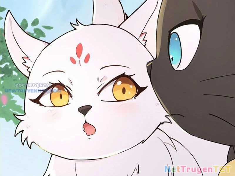 Ta Thực Sự Không Muốn Làm Thần Tiên Chapter 105 trang 38