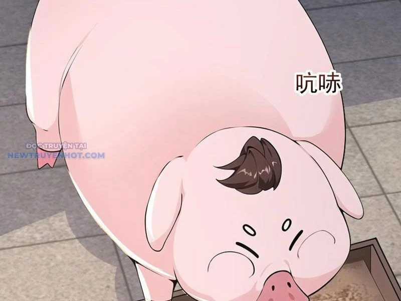 Ta Thực Sự Không Muốn Làm Thần Tiên Chapter 105 trang 4