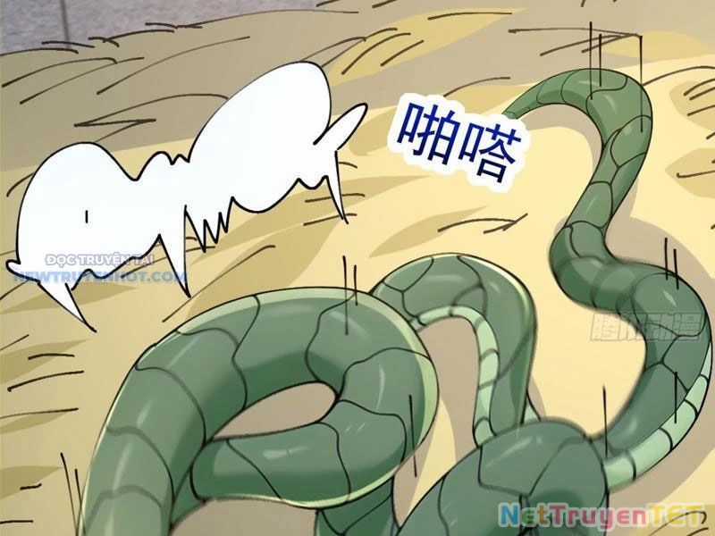 Ta Thực Sự Không Muốn Làm Thần Tiên Chapter 105 trang 67