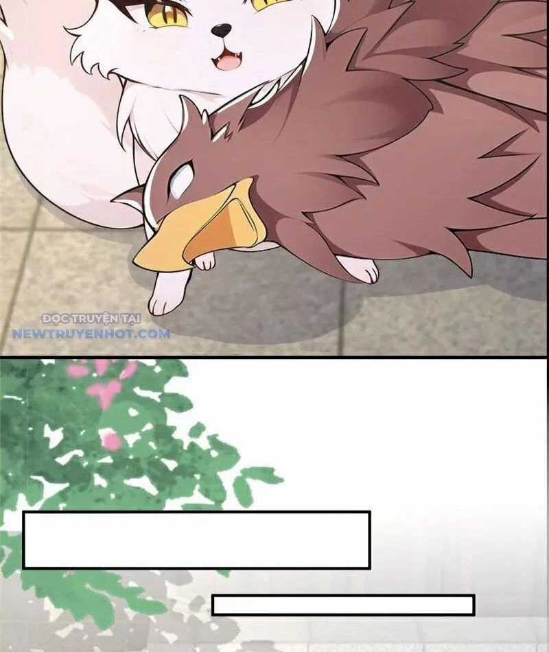 Ta Thực Sự Không Muốn Làm Thần Tiên Chapter 108 trang 27