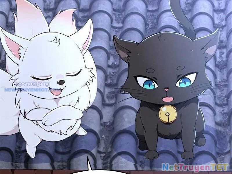 Ta Thực Sự Không Muốn Làm Thần Tiên Chapter 116 trang 13