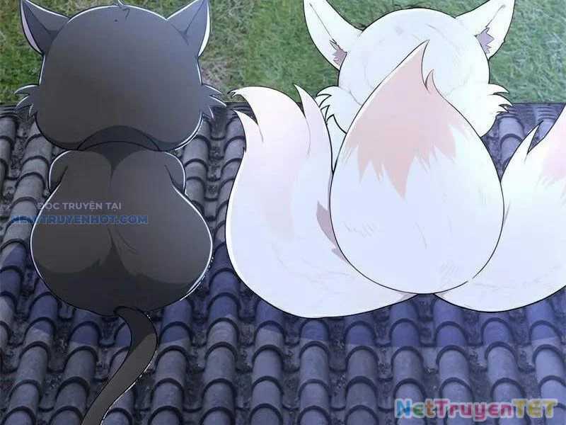 Ta Thực Sự Không Muốn Làm Thần Tiên Chapter 116 trang 3