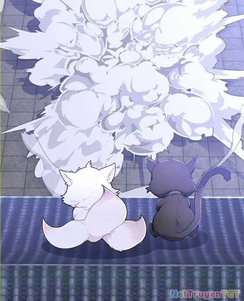 Ta Thực Sự Không Muốn Làm Thần Tiên Chapter 125 trang 66