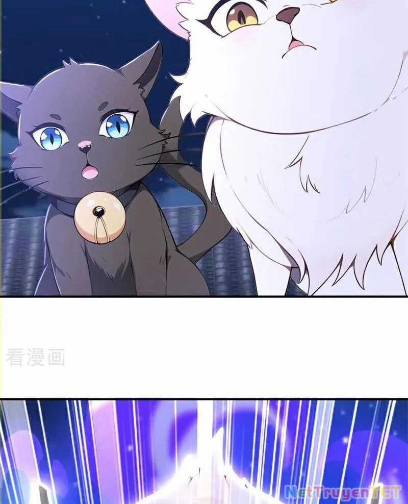 Ta Thực Sự Không Muốn Làm Thần Tiên Chapter 125 trang 68