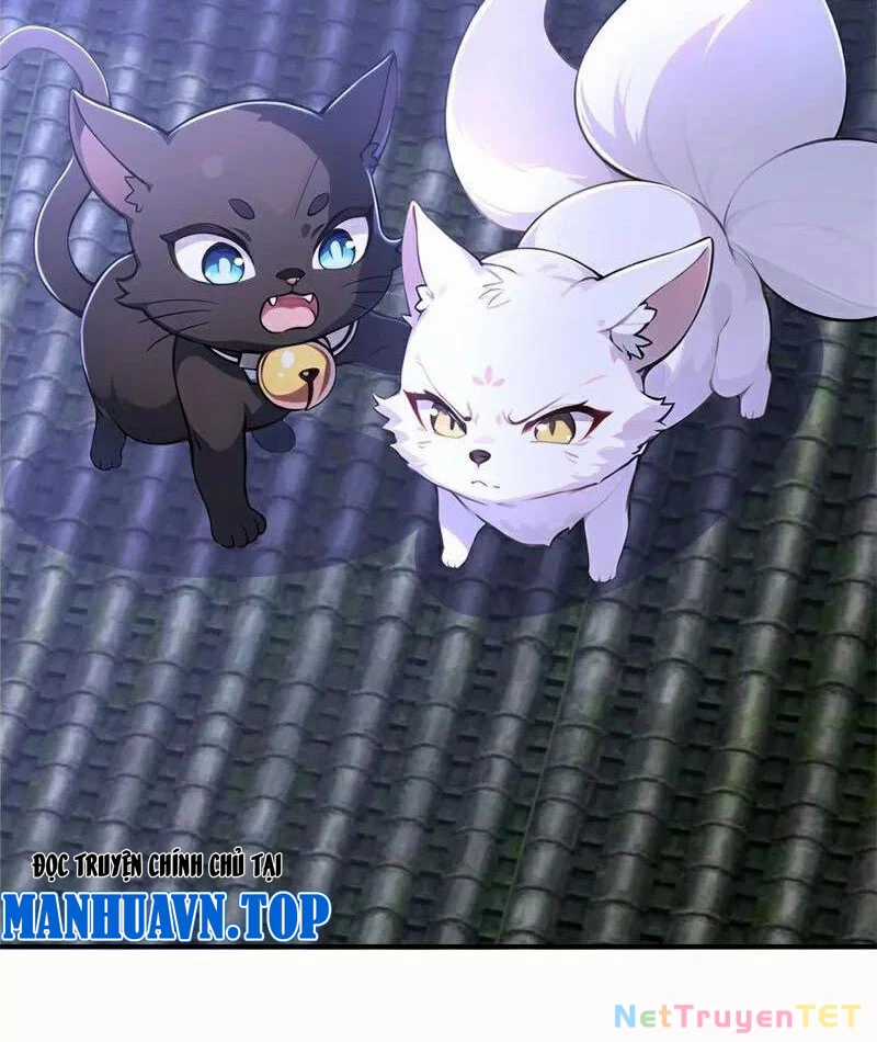 Ta Thực Sự Không Muốn Làm Thần Tiên Chapter 126 trang 3