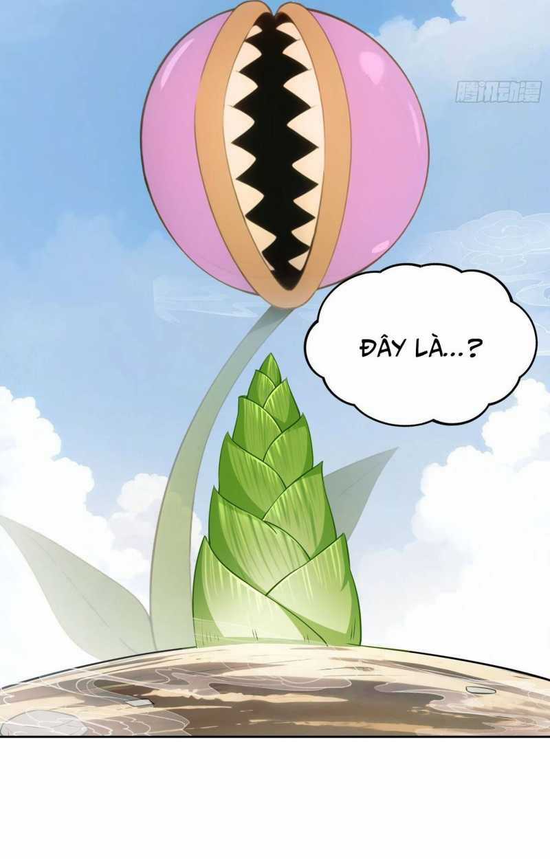 Ta Trở Thành Đối Tượng Sưu Tầm Của Hậu Cung Ở Dị Thế Chapter 1 trang 16