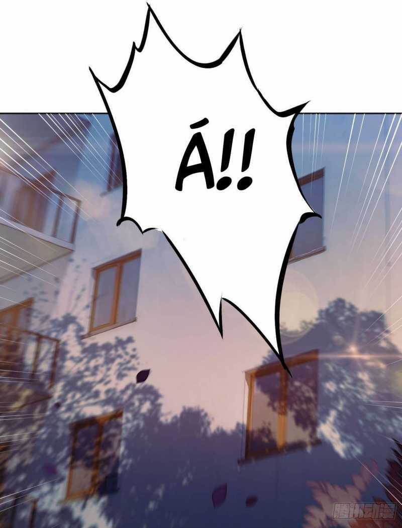 Ta Trở Thành Đối Tượng Sưu Tầm Của Hậu Cung Ở Dị Thế Chapter 1 trang 23