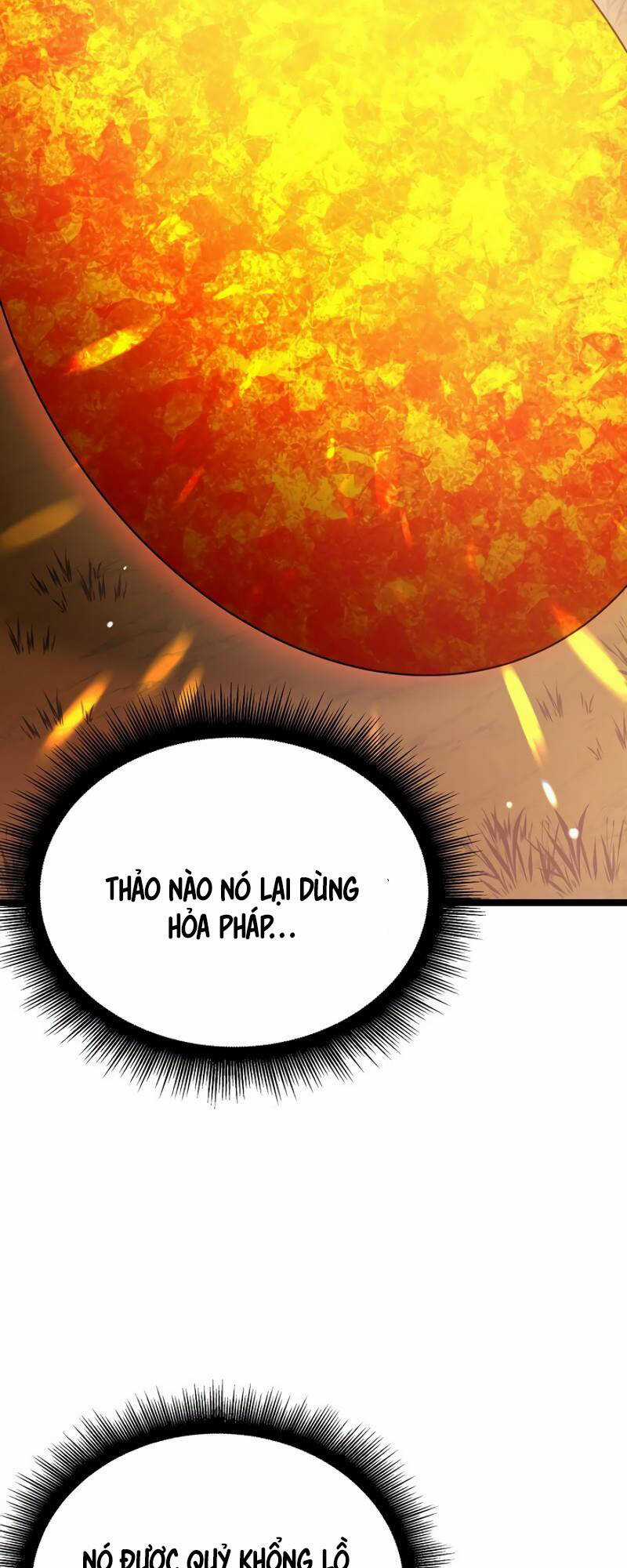 Ta Trở Thành Đối Tượng Sưu Tầm Của Hậu Cung Ở Dị Thế Chapter 13 trang 51