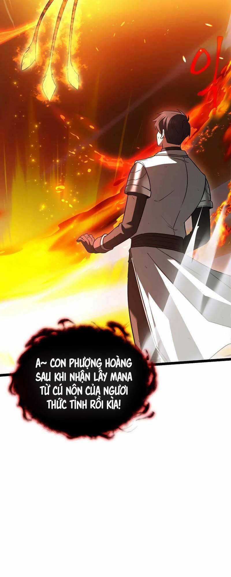 Ta Trở Thành Đối Tượng Sưu Tầm Của Hậu Cung Ở Dị Thế Chapter 13 trang 65