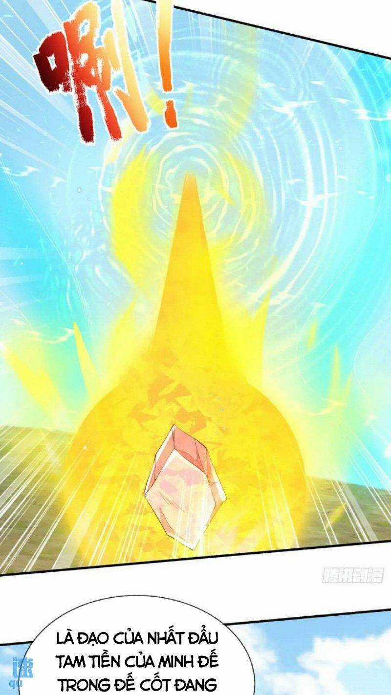 Ta Trở Về Từ Chư Thiên Vạn Giới Chapter 219 trang 11