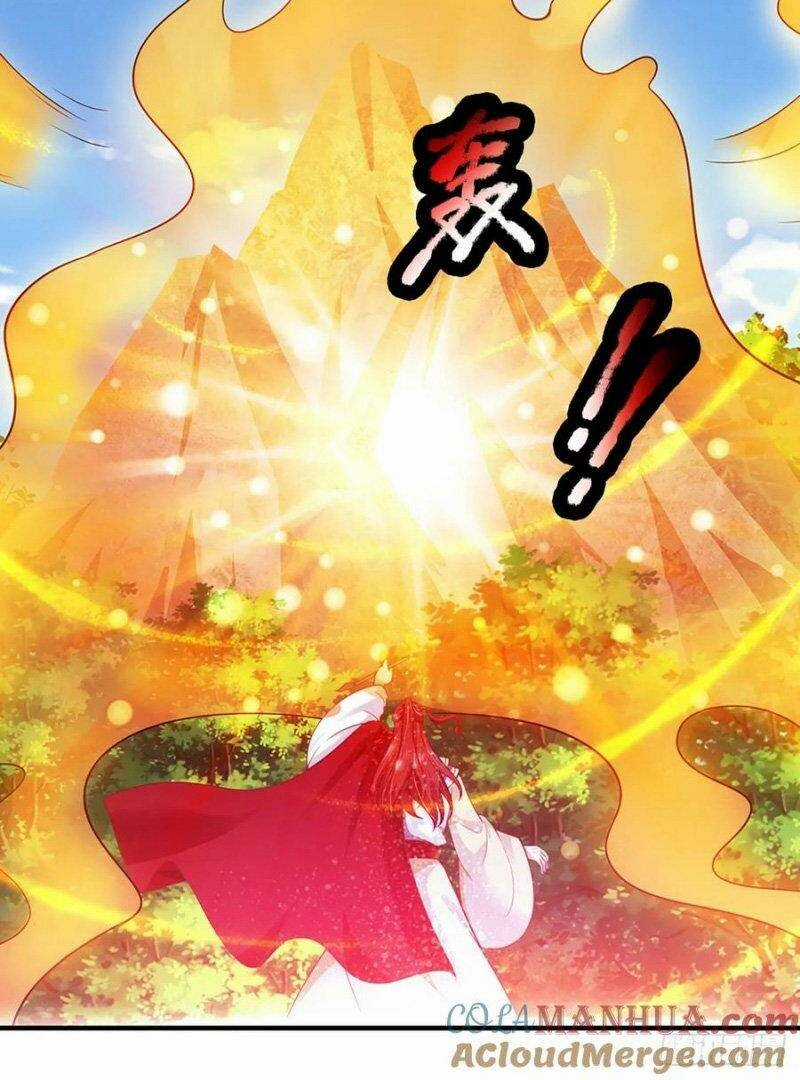 Ta Trở Về Từ Chư Thiên Vạn Giới Chapter 221 trang 15