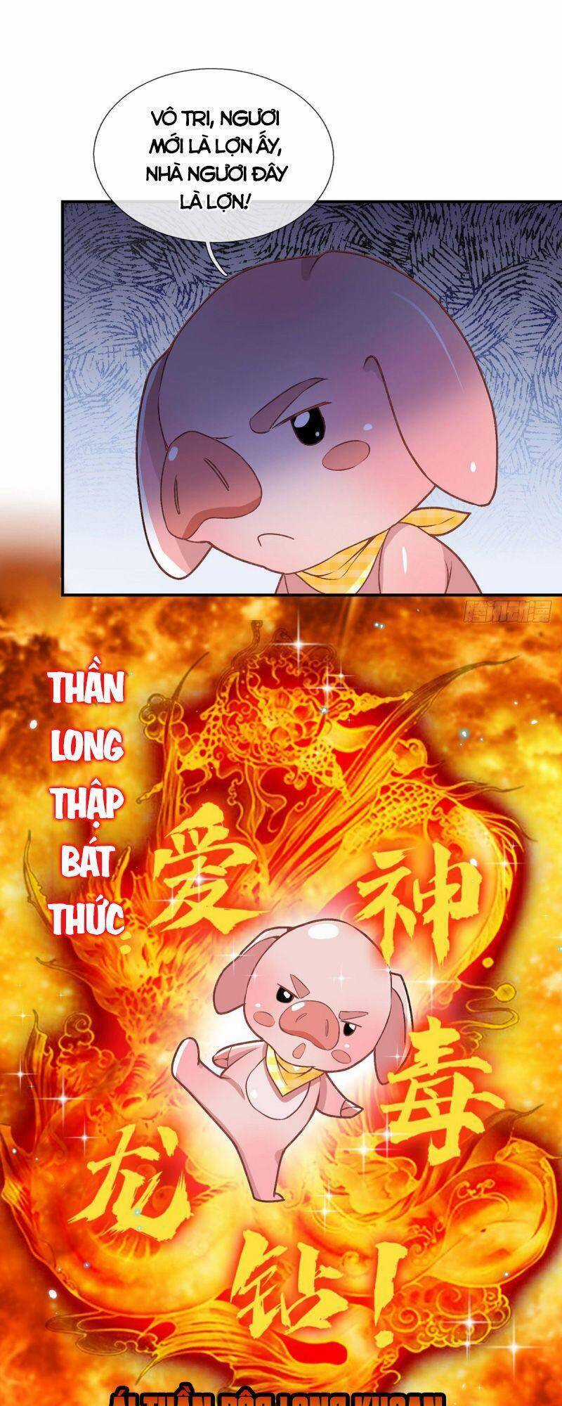 Ta Trở Về Từ Thế Giới Tu Tiên Chapter 43 trang 11