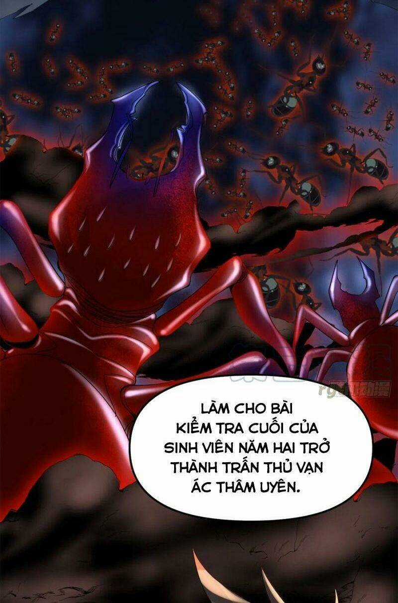Ta Tu Có Lẽ Là Giả Tiên Chapter 146 trang 20