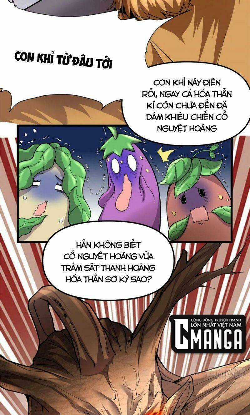 Ta Tu Có Lẽ Là Giả Tiên Chapter 176 trang 4