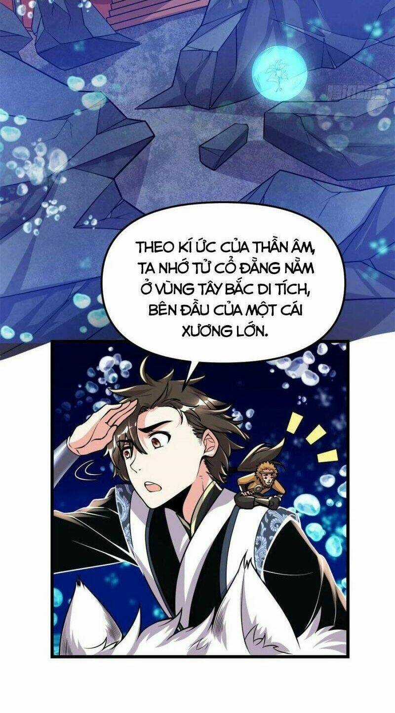 Ta Tu Có Lẽ Là Giả Tiên Chapter 177 trang 11