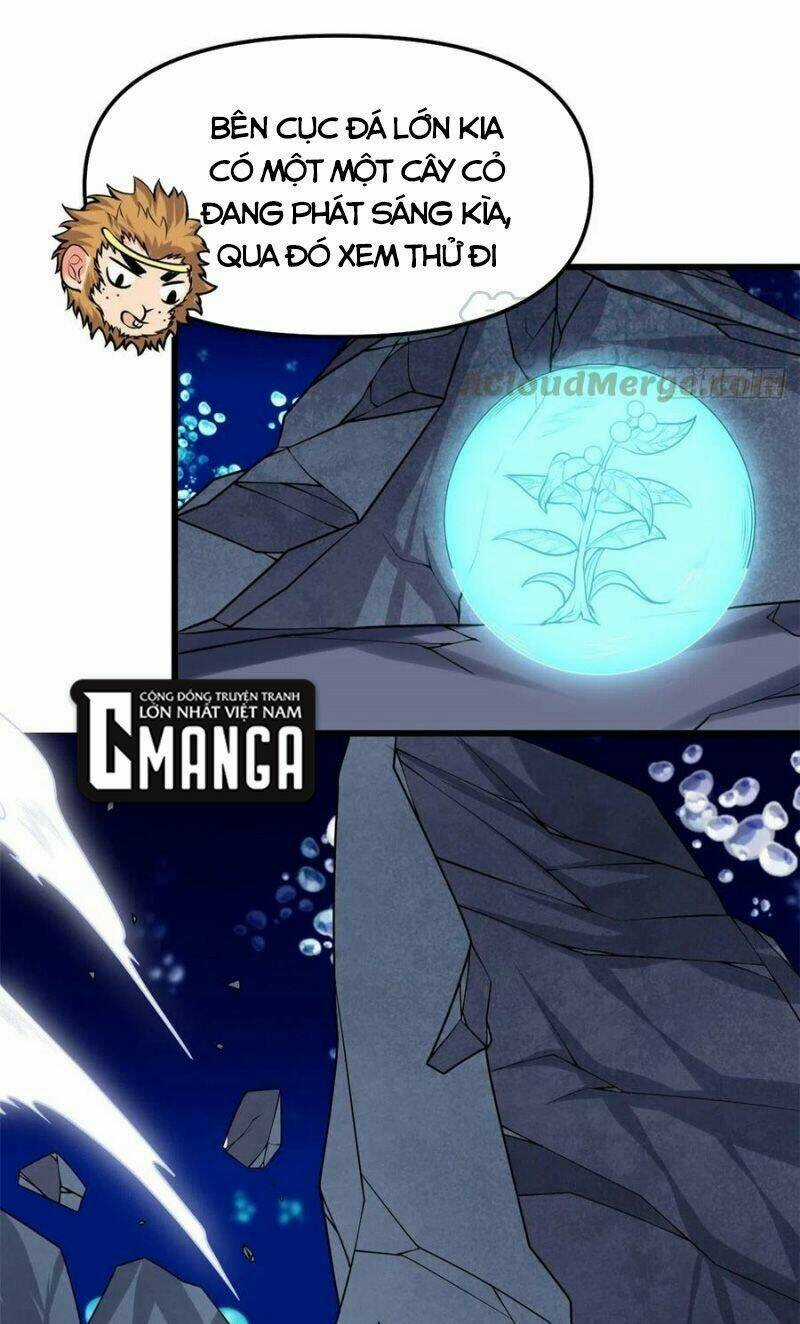 Ta Tu Có Lẽ Là Giả Tiên Chapter 177 trang 12