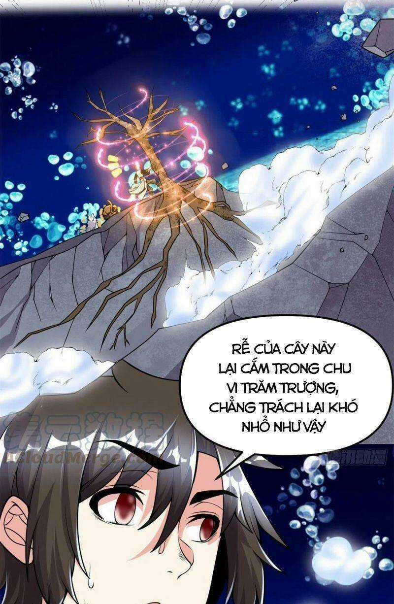 Ta Tu Có Lẽ Là Giả Tiên Chapter 178 trang 4