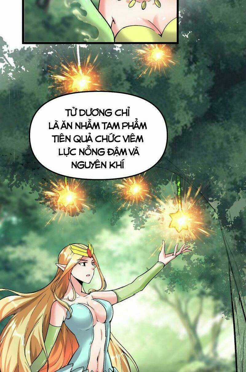 Ta Tu Có Lẽ Là Giả Tiên Chapter 208 trang 1