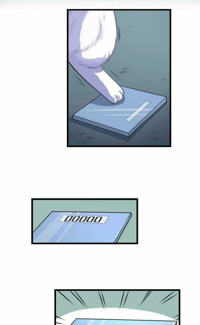 Ta Tu Có Lẽ Là Giả Tiên Chapter 236 trang 16