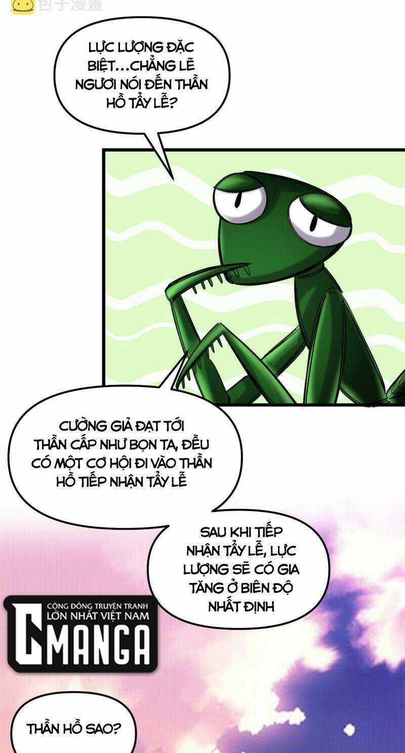 Ta Tu Có Lẽ Là Giả Tiên Chapter 285 trang 25