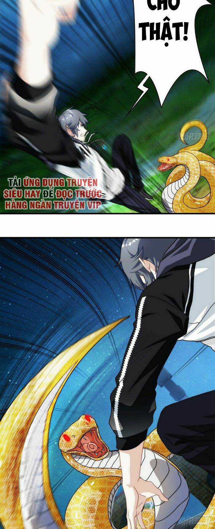 Ta Tu Linh Mạch Ở Hoa Hạ Chapter 8 trang 28