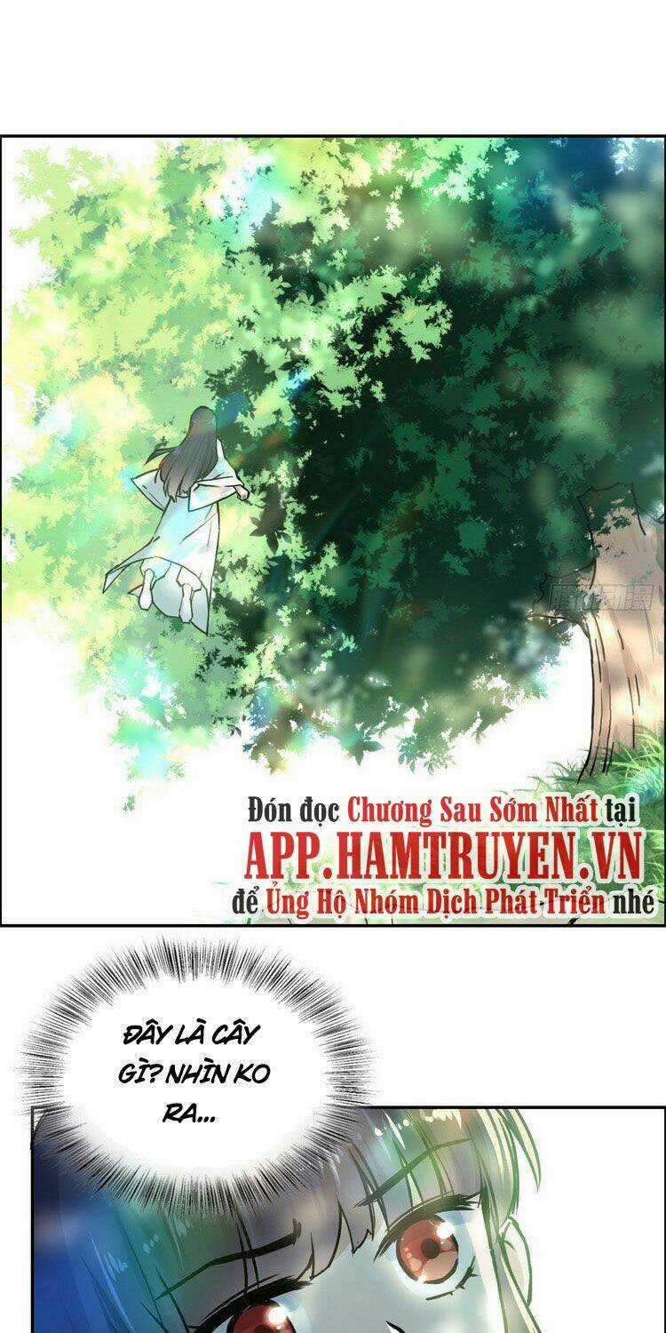 Ta Tự Thành Hoàng Không Cần Thiên Mệnh Chapter 7 trang 29